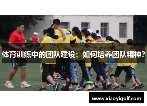 体育训练中的团队建设：如何培养团队精神？
