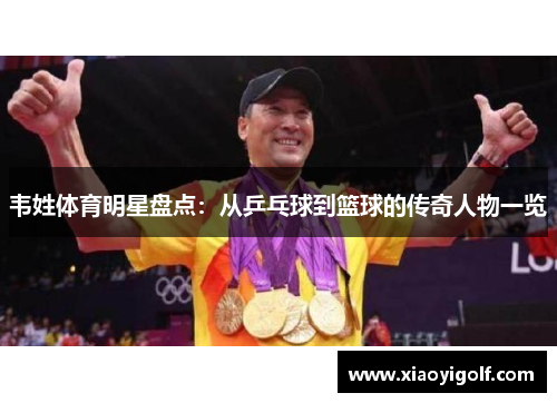 韦姓体育明星盘点：从乒乓球到篮球的传奇人物一览